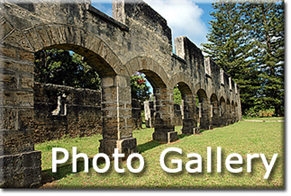 Norfolk Island - Photo 
      
 
   
          
    
     
     
      
    
          
        
          
            
          
                
          
                    
          
                        
          
                            
          
                                
          
                                    
          
                                        
          
                                            
          
                                                
          
                                                    
          
                                                        
          
                                                            
          
                                                                
          
                                                                    
          
                                                                        
          
                                                                            
          
                                                                                
          
                                                                                    
          
                                                                                        
          
                                                                                            
      
 
 
 
 
   
 
      
    
          
        
          
            
          
                
          
                    
          
                        
          
                            
          
                                
          
                                    
          
                                        
          
                                            
          
                                                
          
                                                    
          
                                                        
          
                                                            
          
                                                                
          
                                                                    
          
                                                                        
          
                                                                            
          
                                                                                
          
                                                                                    
          
                                                                                        
          
                                                                                            
      
 
      
 
 
 
 
   
 
      
    
          
        
          
            
          
                
          
                    
          
                        
          
                            
          
                                
          
                                    
          
                                        
          
                                            
          
                                                
          
                                                    
          
                                                        
          
                                                            
          
                                                                
          
                                                                    
          
                                                                        
          
                                                                            
          
                                                                                
          
                                                                                    
          
                                                                                        
          
                                                                                            
      
 
      
 
 
 
 
   
 
      
    
          
        
          
            
          
                
          
                    
          
                        
          
                            
          
                                
          
                                    
          
                                        
          
                                            
          
                                                
          
                                                    
          
                                                        
          
                                                            
          
                                                                
          
                                                                    
          
                                                                        
          
                                                                            
          
                                                                                
          
                                                                                    
          
                                                                                        
          
                                                                                            
      
 
      
 
 
 
 
   
 
      
    
          
        
          
            
          
                
          
                    
          
                        
          
                            
          
                                
          
                                    
          
                                        
          
                                            
          
                                                
          
                                                    
          
                                                        
          
                                                            
          
                                                                
          
                                                                    
          
                                                                        
          
                                                                            
          
                                                                                
          
                                                                                    
          
                                                                                        
          
                                                                                            
      
 
      
 
 
 
 
   
 
      
    
          
        
          
            
          
                
          
                    
          
                        
          
                            
          
                                
          
                                    
          
                                        
          
                                            
          
                                                
          
                                                    
          
                                                        
          
                                                            
          
                                                                
          
                                                                    
          
                                                                        
          
                                                                            
          
                                                                                
          
                                                                                    
          
                                                                                        
          
                                                                                            
      
 
      
 
 
 
 
   
 
      
    
          
        
          
            
          
                
          
                    
          
                        
          
                            
          
                                
          
                                    
          
                                        
          
                             










               
          
                                                
          
                                                    
          
                                                        
          
                                                            
          
                                                                
          
                                                                    
          
                                                                        
          
                                                                            
          
                                                                                
          
                                                                                    
          
                                                                                        
          
                                                                                            
      
 
      
 
 
 
 
   
 
      
    
          
        
          
            
          
                
          
                    
          
                        
          
                            
          
                                
          
                                    
          
                                        
          
                             









               
          
                                                
          
                                                    
          
                                                        
          
                                                            
          
                                                                
          
                                                                    
          
                                                                        
          
                                                                            
          
                                                                                
          
                                                                                    
          
                                                                                        
          
                                                                                            
      
 
      
 
 
 
 
   
 
      
    
          
        
          
            
          
                
          
                    
          
                        
          
                            
          
                                
          
                                    
          
                                        
          
                             









               
          
                                                
          
                                                    
          
                                                        
          
                                                            
          
                                                                
          
                                                                    
          
                                                                        
          
                                                                            
          
                                                                                
          
                                                                                    
          
                                                                                        
          
                                                                                            
      
 
      
 
 
 
 
   
 
      
    
          
        
          
            
          
                
          
                    
          
                        
          
                            
          
                                
          
                                    
          
                                        
          
                             









               
          
                                                
          
                                                    
          
                                                        
          
                                                            
          
                                                                
          
                                                                    
          
                                                                        
          
                                                                            
          
                                                                                
          
                                                                                    
          
                                                                                        
          
                                                                                            
      
 
      
 
 
 
 
   
 
      
    
          
        
          
            
          
                
          
                    
          
                        
          
                            
          
                                
          
                                    
          
                                        
          
                             









               
          
                                                
          
                                                    
    
      
                                                      
  
          
                                      
                      
        
  
                            
                                    

          
              
                                                      
          
                                                                        
          
                                                                            
          
                                                                                
          
                                                                                    
          
                                                                                        
          
                                                                                            
      
 
      
 
 
 
 
   
 
      
    
          
        
          
            
          
                
          
                    
          
                        
          
                            
          
                                
          
                                    
          
                                        
          
                             








               
          
                                                
          
                                                    
          
                                                        
          
                                                            
          
                                                                
          
              
                                                      
          

                                                                        
          
                                                                            
          
                                                                                
          
                                                                                    
          
                                                                                        
          
                                                                                            
      
 
      
 
 
 
 
   
 
      
    
          
        
          
            
          
                
          
                    
          
                        
          
                            
          
                                
          
                                    
          
                                        
          
                             
               
          
                                                
          








                                                    
          
                                                        
          
                                                            
          
                                                                
          
              
                                                      
          
                                                                        
          
                                                                            
          

                                                                                
          
                                                                                    
          
                                                                                        
          
                                                                                            
      
 
      
 
 
 
 
   
 
      
    
          
        
          
            
          
                
          
                    
          
                        
          
                            
          
                                
          
                                    
          
                                        
          
                             
               
          
                                                
          
                                                    
          
                                                        
          







                                                            
          
                                                                
          
                                            
                        
          
                                                                        
          
                                                                            
          
                                                                                
          
                                                                                    
          

                                                                                        
          
                                                                                            
      
 
      
 
 
 
 
   
 
      
    
          
        
          
            
          
                
          
                    
          
                        
          
                            
          
                                
          
                                    
          
                                        
          
                             
               
          
                                                
          
                                                    
          
                                                        
          
                                                            
          
                                                                
          






                                                                
    
          
                                                                        
          
   
                                                                         
          
                                               
                                 
          
                
                                        
                            

          
                                                                                    
          
                                                                                        
          

                                                                                            
      
 
      
 
 
 
 
   
 
      
    
          
        
          
            
          
                
          
                    
          
                        
          
                            
          
                                
          
                                    
          
                                        
          
                             
               
          
                                                
          
                                                    
          
                                                        
          
                                                            
          
                                                                
          
                                                                
    





          
                                                                        
          
                                                                            
          
                                                                                
          
                                                        
                            
          
                                                                                        
          
                                                                                            

      
 
      
 

 
 
 
   
 
      
    
          
          
        
          
            
          
                
          
                    
          
                        
          
                            
          
                                
          
                                    
          
                                        
          
                             
               
          
                                                
          
                                                    
          
                                                        
          
                                                            
          
                                                                
          
                                                                
    
          
                                                                        
          
                                                                            




          
                                                                                
          
                                                                                    
          
                                                                                        
          
                                                                                            
      
 
      
 
 
 

 
   
 

      
    
          
        
          
            
          
                
          
                    
          
                        
          
                            
          
                                
          
                                    
          
                                        
          
                             
               
          
                                                
          
                                                    
          
                                                        
          
                                                            
          
                                                                
          
                                                                    
          
                                                                        
          
                                                                            
          
                                                                                
          
                                                                                    
          
 
                                                                                        



          
                                                                                            
      
 
      
 
 
 
 
   
 
      
    
          
        

          

            
          
                
          
                    
          
                        
          
                            
          
                                
          
                                    
          
                                        
          
                             
               
          
                                                
          
                                                    
          
                                                        
          
                                                            
          
                                                                
          
                                                                    
          
                                                                        
          
                                                                            
          
          
                                                                        
          
                                                                            
          
                                                                                
          
                                                  
                                  
          
 
                                                                
                        


          
                                                                                            
      
 
      
 
 
 
 
   
 
      
    

          
        
          
            

          
                
          
                    
          
                        
          
                            
          
                                
          
                                    
          
                                        
          
                             
               
          
                                                
          
                                                    
          
                                                        
          
                                                            
          
                                                                
          
                                                                    
          
                                                                        
          
                                                                            
          
                                          
                                      
          
                                                                            
          
                                                                                
          
                                                                                
          
                                                                                    

          
 
                                                                
                        
          
                                                                                            
      
 
      
 
 
 
;
 
   
 
      
    
          
        

          
            
          
                
          
                    
          
                        
          
                            
          
                                
          
                                    
          
                                        
          
                             
               
          
                                                
          
                                                    
          
                                                        
          
                                                            
          
                                                                
          
                                                                    
          
                                                                        
          
                                                                            
          
                                          
                                      
          
                                                                            
          
                                                                                
          
                                                                                    
          
 
                                                                                        
          
                                                                
                        
          
                                                                                            
      
 
      
 
 
 
 
   
 
      
    

          
        
          
            
          
                
          
                    
          
                        
          
                            
          
                                
          
                                    
          
                                        
          
                             
               
          
                                                
          
                                                    
          
                                                        
          
                                                            
          
                                                                
          
                                                                    
          
                                                                        
          
                                                                            
          
                                          
                                      
          
                                                                            
          
                                                                                
          
                                                                                    
          
 
                                                                                        
          
                                                                
                        
          
                                                                                            
      
 
      
 
 
 
 

   
 
      
    
          
        
          
            
          
                
          
                    
          
                        
          
                            
          
                                
          
                                    
          
                                        
          
                             
               
          
                                                
          
                                                    
          
                                                        
          
                                                            
          
                                                           
     
          
                                                                    
          
                                                                        
          
                                                                            
          
                                          
                                      
          
                                                                            
          
                                                                                
          
                                                                                    
          
 
                                                                                        
          
                                                                
                        
          
                                                                                            
      &#
13;
 
      
 
 
 
 
   
 
      
    
          
        
          
            
          
                
          
                    
          
                        
          
                            
          
                                
          
                                    
          
                                        
          
                             
               
          
                                                
          
                                                    
          
                                                        
          
                                                            
          
                                                                
          
                                                                    
          
                                                                        
          
                                                                            
          &
#10;                                          
                                      
          
                                                                            
          
                                                                                
          
                                                                                    
         
 
                                                                                        
          
                                                                                            
      
 
      
 
 
 
 
   
 
      
    
          
        
          
            
          
                
          
                    
          
                        
          
                            
          
                                
          
                                    
          
                                        
          
                             

















               
          
                                                
          
                                                    
          
                                                        
          
                                                            
          
0;                                                                
          
                                                                    
          
                                                                        
          
                                                                            
          
                                          
                                      
          
                                                                                    
          
                                                                                        
          
        
                                                                                    
      
 
      
 
 
 
 
   
 
      
    
          
        
          
            
          
                
          
                    
          
                        
          
                            
          
                                
          
                                    
          
                                        
          
                             
















               
          
                                                
          
                                                    
          
              
                                          
          
                                                            
          
                                                                
          
                                                                    
          
                                                                        
          
                  
                                                          
          
                                                                                
          
                                                                                    
          
                                                                                        &#
13;
          
                                                                                            
      
 
      
 
 
 
 
   
 
      
    
          
        
          
            
          
                
          
                    
          
                        
          
                            
          
                                
          
                                    
          
                                        
          
    
                         















               
          
                        
                        
          
                                                    
          
                                                        
          
                                                            
          
                                                                
          
                                                                    
          

                                                                        
          
                                                                            
          
        
                                                                        
          
                                                                      
              
          
                                                                                        
          
                                                                                            
      
 
      
 
 
 
 
   
 
      
    
          
        
          
            
          
                
          
                    
          
                        
          
                            
          
                                
          
                                    
          
                                        
          
                             








;







               
          
                                                
          
                                                    
          
                                                        
          
                                                            
          
                                             
                   
          
                                                                    
          
                                                                        
          
                                                                            
          
                                                  
                              
          
                                                                                    
          
                                                                                        
          
                                                                                            
      
 
      
 
 
 
 
   
 
      
    
          
        
          
            
          
                
          
                    
          
                        
          
                            
          
                                
          
                                    
          
                                        
          
                             










;







               
          
    
                                            

          
                                    
                
    
      
    &#
10;                                                  
  
          
                                      
                      
        
  
                            
                                    

          
              
                                                      
3;
          
                                                                        
          
                                                                            
          
                            
                                                    
          
                                                                                    
          
                                                                                        
          
                                                                                            
      
 
      
 
 
 
 
   
 
      
    
          
        
          
            
          
                
          
                    
          
                        
          
                            
          
                                
          
                                    
          
                                        
          
                             











;





               
          
                                                
          

                                                    
          
                                                        
          
                                                            
          
                                  
                              
          
              
                                                      
          
                                                                        
          
                                                                            
     
     

                                                                                
          
                                                                                    
          
                                                                                        
          
                                                                                            
      
 
      
 
 
 
 
   
 
      
    
          
        
          
            
          
                
          

                    
          
                        
          
                            
          
                                
          
                                    
          
                                        
          
              
               
               
          
                                                
          
                                                    
          
                                                        
          














;

                                                            
          
                                                
                
          

              
                                                      
          
                                      
                                  
          
                                                                            
          
                                                                                
          
                                                                                    
          
                                                                                        
          
                                                                                            
      

 
      
 
 
 
 
   
 
   
 
      
    
          
        
          
            
          
                
          
                    
          
                        
          
                            
          
                   
             
          
                                    
          
                                        
          
     
                                        
          
                                                
          
                                                    
          
                                       
                 
          
                                                            
          
                                                                
          
                    
                                                





;










          
                                                                        
          
                                                                            

          
                                                                                
          
                                                                                    
          
                                                                                        
          
                                                                                            
      
 
      
 
 
 
   

 
   
 
      
    
          
        
          
          
            
          
                
          
                    
          
                        
          
                            
          
                                
          
                                    
          
                                        
          
     
                                        
          
          
                                      
          
                                                    
          
                                                        
          
                                                            
          
                                 
              
                 

          
                    
              
                                  
          
            
 
                                 
                          

          
                
                                                            

          
                                                                     
           














;          
                                                                                    
          
                                                                                        

          
                                                                                            
      
 
      
 
 
 
   
 
   
 
      
    
          

        
          
            
          
                
          
                    
          
                        
          
                            
          
                                &
#10;          
                                    
          
                                        
          
     
                                        
          
                                                
          
                                                    

          
                                                        
          
                                                            
          
                                                                
          
                    

                                                
          
                                                                        
          
                                                                            
3;
          
                                                                                
          
                   
                                                                 
            
                                                                                        
           

                                                           
                                 
      
 

      
 
 













 
 
   
 

   
 
   
 
      
    
          
        
          
            
          
                &#
10;          
                    
          

                        
          
                            
          
                                
          
                                    
          
                           
             
          

;                                            
          
       
                                         
          
                                                    
          
                                                        
          
3;
                                                            
          
                                                                
          
                                                                    
          
                                                                        
          
                                                                            
          
                                                                                
          
          
                                                                          
          
                                                                                        
          
                                                                                            
      
 
      
 
 
 
 
   

 
   
 

   
 
      













    
          
        
          

            
          
                
          
                    
          
                        
          
                            
          
                                &
#13;
          
                                    
          
                            

             
          
                                            
          
                                                

          
                                                    
          
                                                        
          
                                                            
          
                                                                
          
                                                                    
          
                                                                        
          
                                                                            
          
                                                                                
          
          
                                                                          
          
                                                                                        
          
                                                                                            
      
 
      
 
 
 
 
   
 
   
 
   
 
      
    
          
        

          
            
          

                
          
                    











&
#13;
          
                        
          
                            

          
                                
          
                                    
          
                            
3;
             
          
                                            
          
                                                
0;          
                                                    
          
                                                        

          
                                                            
          
                                                                
          
                                                           
         
          
   
                                                                     
          
        
                                                                    
          
                                                                                

          
          
     
                                                              
       
          
   
                                                             
                        
          
                                  
                                                          
      
 
      
 
 
 
 
   
   
 
   
 
   
 
      
    
          

;        
          
            
          
                
          
                    
          
                        

          
                            
          

                          
      
          
                                    











          
                           
             
&
#10;          
                                            
          
                                                
          
                                                    
          
                                                        
          
                                                            
          
                                                                
          
                                                                    
          

                                                  
                      
          
                                                                            
          
                                                                                
          
          
                                                                          
          
                                                                                        
          
                                  
                                                          
       
 &
#10;
      
 
 
 
 
   
 
   
 
   
 
   
      
    
          
        
          
            
          
                
          
              
     
 
          
                        
          
                            
          
                                
          
                                    
          &#
10;                           
             
          
                                            
          
                                                

          
                                                    
          

                                                        










          
                                                            
          
                                                                &
#10;          
                                                                    
          
                                                                        
          
                                                                            
          
                                                                                
          
          
                                                                          
          
                                                           
                             
          
                                  

                                                          
      
 
      
 
 
 
 
   
 
   
 
   
 
   
 
&#
13;
      
    
          
        
          
            
          
                
          
                    
          
                        
     
     
                            
          
                                
          
                     
               
          
                                        
          
                                            
          
                                                
          
                                                    
          
                                                        
          
                                                            
          
                        
                                        
          
                                                                    

          
                                                                        
          










                                                                            
          
                                                                     
           
          
                                                                                    
          
                                                                                        
          
                                                                                            
      
 

      
 
 
 
 
   
 

   
 
   
 
   
 
   
 
      
    
          
        
   
       
            
          
                
          
                    &#
10;
          
                        
          
                            
          
                                
          
                                    
          
                                        
          
                                            
          
                                                
          
                                                    
          
                                                        
          
                            
                                
          
                                                                
          
                                                                    
          
                                                                        
          
                                                                            
   
       
                                                                                

           
         
                                                                           
           

                                                         
                               


&
#13;






          
           

                            
                                                                
      
 
      
 
&
#13;
 
 
 

   
 
   
 
   
 
   
 
   
 

      
    
          
0;        
          
            
          
                
          
                    
          
                        
          
                            
          
                                
          
                                    
          
                                        

          
                                            
          
                                            
          
     
                                           
          
                                                    
          
                                                        
          
                            
                                
          
                                                                
          
                                                                    
          
                                                                        
          
                                                                            
   
       
                                        
                                        
           
                                                                                    
          
                                                
                                        
           &#
10;           
                                                                                            
       

 






&
#13;


      
 
 

 
 
   
 
   
 
   
 
   
 
   

 
      
    

          
        
          
            
          

                
          
                    
          
                        
          
                            
          
                                
          
                                    
          
                                        
          
                                            
          
                                                
          
                                                    
          
                                                        
          

                            
                                
          
                                                                
          
                                                                    
          
                   
                                                     
          
                                                                            
   
       
                                                                                
          
             
                                                                       
          
                                                                                        
          
      
                                                                                      
      
 
       
 
 
 
 
   
 
   
 









   
 
   

 
   
 
   
 
      
    
          
        
          
            
          
                
          
                    
          

                        
          

                            

          
                                
          
                                    
          
                                        
          
                                            
          
                                                
          
                                                    
          
    
                                                    
          
                                                            
          
                                                                
          
                                                                    
          
                                                                        
          
          

       
                                                            
          
                                                                                
          
                  
                                                                  
          &
#13;
                                                      
                                  
          
                                                                                            
       
 
      
 
 
 
 
   
 
   
 
   
 
   
 







   
 
   

 
   
 

      
    
          
        
          
            
          
                
          
                    
                    
          
                        
          

                            
          
                                
          
                                    
          

                                        
          
                                            

          
                                                
          
                                                    
          
    
                                                    
          
                                                            
          
                                                                

          
                                                                    
          
                                                                        
          
          
3;
                                                                    
          
           
                           
                      
                    
          
                                          
                                          
          &
#10;                                                      
                                  

          
                               
                                                             
      
 
      
 
 
 
 
   
 
   
 
   
 
   
 &
#10;   






 
   
 
   
 
      

    
          
        

          
            
          
                
          
                    
          
                        
          

          
                            
          
                                
          
                                    
          
                                        
          
                                            
          
                                                
          
                                                  
  
          

    
                                                    &#
13;
          

                                                            
          
                       
                                         
          
                                                                    
          
               
                                                         
          
          
                                                                    
          
                                                                                
          
                                                                                    
          
                                                      
                                  
          
                                                                                            
      
 
      
 
 
 
 
   
 

   
 
   
 
   
 
   
 
   
 
   





 
      
    
          
        
          
            
;
          
                
          

                    
          
                        
          
                            
          

                                
          
                                    
          
                                        &
#10;          
                                            
          
                              
                  
          
                                                    
                              
                  
          
                                                    
          
    
                                        
            
          
                                                            
          

                                                                
          
                                                                    

          
                                                                        
          
          
                                                                   
          
                                                                                
          
                                                                                    
          
                                                      
                                  
          
                                                                                            
      
 
      
 
 
 
 
   
 
   
 
   
 
   
 
   





 
   
 
   
 
      
    
          
        
          
            
          
                

          
                    
          
                        

          
                            
          
                                
          
                                    
        
  
                                        
          
                                            
          
                     
         
                  

          
                                                    
          
                                                        
          
          
    
                                                    
          
                                                            
          
                                                                
          
                                                                    
          

                                                                        
          
          

                                                                   
          
                                                                                
          
                                                                                    
          
                                                      
                                  
          
                                                                                            
      
 
      
 
 
 
 



   
 
   
 
   
 
   
 
   
 
   
 
   
 
      
    

          

        
          

            
          
                
      
    
                    
          
                        
          
                            
          
                           
     
          
                                    
          
                                        
;
          
                                            
          
                              
                  
          
                                                    
          
                                                        
          
                                                            
          
                         
                                       
 
         
                      
                                              
          
 
                                               
                        
          
                          
                                                  
          
                                                                                
          
                                                                             

       
          
                                                                                        

          
                                                                      
           
           
      
 
      


 
 
 
 
   
 
   
 
   
 
   
 
   
 
   
 

;

   
 

   
 
      
    
          
        
          
            
          
             
   
          

                    
          
                        
          &#
10;                            
          
                                
          
                                    
          
                
                        
          
                                            
          
                                                
          
                                                    
          
                                                        
          
                                                            
          
                                             
                   
          
                                                                    
          
                                                                        
          
                                                                            
          
                                                  
                              
          
                                                                                    
          

                                                                                        

                                                                             
       
          

                                    
                                                    
          
                                                                      
           
           
      
 
      &
#13;
 
 
;
 
 
   
 
   
 
   
 
   &
#13;
 
   
 
   
 
   
 
   
 
      
    
          
        
          
            
          
                
          
                    
          

                        
          
                            
          
                                
          
                                    
          
                
                        
          
                                            
          
                                                
          
                                                    
          
                                                        
          
                                                            
          
                                             
                   
          
                                                                    
          
                                                                        
          
                                                                            
          
                                                  
                              
          

                                                                                    
          
                                                                                        

      
    
                                                                                            
  
     
0;                                                                                   
          
                                                                      
           
           
      
 
      
 
 
 
 
   
 
   
 
   
 
   
 
   
 
   
 
   
 
   
 
      
    
          
        
          
            
          
                
          
                    
          
                        

          
                            
          
                                
          
                                    
          
                
                        
          
                                            
          
                                                
          
                                                    
          
                                                        
          
                                                            
          
                                             
                   
          
                                                                    
          
                                                                        
          
                                                                         
   

          
                                                  
                              

      
    
                                                                                   
 
          
                                                                                        
          
                                                                                            
  
                                                                                        
          
                                                                      
           
           
      
 
      
 
3;
 
 
 
   
 
   
 
   
 
   
 
   
 
   
 
   
 
   
 
      
    
          
        
          
            
          
                

          
                    

          
                        
          
;
 
                           
          
                                
          
                                    
          
                
                        &#
13;
          
                                            
          
                                                
          
                                                    
          
  
                                                      
          
                              
                              
          
                                             
                   
          
             
                                                       

          
     
                                                                   
          

                                                                            
          
                                                  
                              
          
                                                                                    
          
                                                                                        
          
                                                                                            
  
    
 
      
 
  
 
 
   
 
   
 
   
 
   
 
   
 
   
 
   
 
   
 
   
 
      
    
          
        
          
            
          
                
          
                    
          
                        
          
                            
          
                                
          
                                    
          
                                        
          

                                            
          
                                                
          
                              
                      
          
                                                 
       
          
                                                  
          
          
                                                            
    
          
                                                                    
          

;                                                                        
    
      
                                                                            
          
                                                                                
          
                   
                                         
                        
          
                                                                                        
          
                                 
                                                           
      
 
      
 
 
 
 
   
 
   
  
    
  
   
 
   
 
   
 
   
 
   
 
   
 
   
 
      
    
          
        
          
            
          
                
          
                    
          
                        
          
                            
          
                                
3;
          
                                    
          
                                        
          
                                            
          
             
          
                                        &
#10;       
   
                                            
;
          
      
                                          
          
                                                    
          
                                                 
       
          
                                                            
          
                                                                
          
                                                                    
          
                                                                        
    
      
                                                                            
          
                                                                                
          
                   
                                         
                        
          
                                                                                        
          
                                 
                                                           
      
 
      
 
 
 
 
   
 
   
 
   
   
   
 
   
 
   
 
   
 
   
 
   
 
   
 
      
    
          
        
          
            
          
                
          
                    
          
                        
          
                            
          
                
                
          
                                    
          
       
                                 
          
;
                                            
          
             
                                   
          
          
                                            
          
                                                
          
                                                    
          
                                                 
       
          

                                                            
          
                                                                
          
                                                                    
          
                                                                        
    
      
                                                                            
          
                                                                                
          
                   
                                         &
#10;                        
         
 
                                                                                        
          
                                 
                                                           
      
 
      
 
 
 
 
;
   
 
   
 
   
 
   
 
   
 
   
 
   
 
   
 
   
 
   &
#13;
 
      
    
          
        
          
            
   
       
                
          &#
10;                    
          
                        
          
                            
          
                                
          
                                    
          
                                        
          
                                            
          
             
                                   
          
                                                    
                                            
          
                                                
          
                                                    
          
                                                 
       
          
                                                            
          
                                                                
          
                                                                    
          
                                                                        
    
      
                                                                            
          
                                                                                
          
                   
                                         
                        
          
                                                                                        
          
                        
         
                                                           
      
 
      
 
 
 

 
   
 
   
 &
#13;
   
 
   
 
   
 
   
 
   
 
   
 
   
 
   
 
      
    
          
        
          
            
          
                
          
                    
          
                        
          
                            
          
                                
          
                                    
          
                                        
          
                                            
          
             
                                   
          
                                                    
          
                                                        
          
                                                            
          
                                                                
          
                  
                                                  
          
                                                                        
          
                                                                            
          
                                               
                                 
          
                                                                                    
          
                                                                                        
          
             
                  
                                                     
        
      
 
      
 
 
 
 
   
 
   
 
   
 
   
 
   
 
   
 
   
 
   
 
   
 
   
 
   
 
      
    
          
        
          
            
          
                
          
                    
          
                        
          
                            
          
                                
          
   
                                 
          
                                        
          
                                            
          
                                                
          
                                                    
          
                                                        
          
      
       
                                               
          
                                                                
          
                                                                    
          
                                                                        
          
                                                                            
          
                                                    
          
                   
          
                                                                                 
   
          
                                              
         
                                 
          
                                                                                            
      
 
      
 
 
 
 
   
 
   
 
   
 
   
 
   
 
   
 
   
 
   
 
   
 
   
 

   
 
   
 
   
 
   
 
   
 
      
    
          
        
          
            
          
                
          
                    
          
                        
          
                            
          
                                
          
   
                                 
          
                                        
          
                                            
          
                                                
          
                                                    
          

                                                        
          
      
       
                                               

;          
                                                                
          
                                                                    
          
                                                                        &
#10;          
                   
                                                         
          
      
                
                              
         
                   
          
                                                                                    
          
                                                                                        
          
                                                                                            
      
 
      
 
 
 
 
   
 
   
 
   
 

   
 
   
 
   
 
   
 
   
 
   
 
   
 
   
 
   
 
      
    
          
        
          
            
          
                
   
       
                    
          
                        
          
                            
          
                                
          
                                    
          
                                        
          
                                            
          
                  
                              
          
                                                    
          
                                  
                      
          
                                                            
          
                                               
                 
          

                                                                    
          
      
                    
                                              
          
                                                                            

;          
                                                                                
          
                                                                                    
          
                                                                                        
          
                                                                                            
      
 
      
 
 
 
 
   
 
   
 
   
 
   
 
   
 
   
 
   
 
   
 
   
 
   
 
   
 
   
 
   
 
      
    
          
        
          
            
          
                
          
                    
          
                        
          
                            
          
                                

          
                                    
          
                                        
          
                                            
          
                                                
          
                                               
     
          
                                                        
          

                                   
                         
        
  
 
                                    
                           
          
                                                                    
          
                              
                                          
          
                                                                            
          
                                                                                
          
                                                                                    
          
                                                                                        
          
                                                                                            
      
 
      
 
 
 
 
   
 
   
 
   
 
   
 
   
 
   
 
   
 
   
 
   
 
   
 
   
 
   
 
   
 
   
 
      
    
          
        
          

            
          
                
          
                    
          
                        
          
                            
          
                                
          
                                    
          
                 
                       
          
                                            
          
                                                
          
             
                  
                     

          
    
                                                    
          
                                                            
          
                                                                
          
                                                                    
          
                 
                                                       
          
                                                                            
          
                                                                                
          
                                                                                    
          
                                                                                        
          
                                                                                            
      
 
      
 
 
 
 
   
 
   
 
   
 
   
 
   
 
   
 
0;   
 
   
 
   
 
   
 
   
 
   
 
   
 &
#10;   
 
   
 
;
      
    
          
        
          
    
        
          
                
          
                    
;
          
                        
          
                            
          
                                
          
                               
     
          
    
              
                      &#
10;          
                                            
          
                    
                            
  
        
                                                    
          
                                                        
          
                                                            
          
                                                                
          
                                                                    
          
   
                                                                     
          
                                                                            
          
                                                                                
          
                                                                                    
          
                                                                                        
          
                         
                                                                   
      
 
      
 
 
 
 
   
 
   
 
   
 
   
 
   
 
   
 
   
 
   
 
   
 
   
 
   
 

   
 &
#10;   
 
   
 
   
 
   
 
      
    
          
        
          
            
0;          
                
          

     
               
0;          
                        
          
                            
          
                                
          
                                    
          
     
                                   
          
                                            
          
                                                
          
                                                    
          
                                                        
          
                                                            
          
                                                                
          
                                                                    
          
                                                                        
          
                                                                            
          
                                                                                
          
                                                                                    
          
                                                                                        
          
                                                                                            
      
 
    
  
 
 
 
 
   
 
   
 
   
 
   
 
   
 
   &#
13;
 
   
 
   
 
   
 
   
 
   
 
   &
#13;

 
 
  
 
   

 
   
 
   
 
   
 
      
    
          
        &
#13;
          
            
          
                
          
                    
          
;
                        
          
                            
          
                                
          
                                    
          
                                        
          
                                            
          
                                                
          
                                                    
          
                                                        
          
                                                            
          
                                                                
          
                                                                    
          
                                                                        
          
                                                                            
          
                                                                                
          
                     
                                                               
          
                                                                                        
          
                                                                                            
      
 &#
10;      
0; 
 


; 
 
   
 
   
 
   
 
   
 
   
 
   
 
   
 
   
 
   

 
   
 
   
 
   
 
   
 

   
 
   
 
   
 
   
 
   
 
      
    
          
        
          
            
          
                
          
                    
          
                        
          
                            
          
                                
          
                                    
          
                                        
          
                                            
          
                                                
          
                                                    
          
                                                        
          
                                                            
          
                                              
                  
          
                                    
                                &#
13;
          
                                                                        
          

                                                                            
          
                                                                                
          
                            
         
                                
             
  
          
                                                                                        
          
                                                               
                             
      &#
10; 
      
 
 
 
 &#
10;   
 
   
 
   
 
   
 
   
 
   
 
   
 
   
 
   
 
   
 
   
 
   
 
   
 
   
 
   
 
   
 
   
 &
#13;
   
 
   
 
      
    
          
        
          
            
          
                
          
                    
          
                        
          
                            
          
                                
          
                                    
          
                                        
          
                                            
          
                                                
          
                              
                      
          
                                                        
          
                                                            
          
             
                                                   
          
                                                              
      
          &
#13;

;                               
                                         
          
                                                                            
          
                                   
                                             
          
                                                                                    
          
         
                                                                               
          
                                                                                            
      
 
      
 
 
 
 
   
 
   
 
   
 
   
 
   
 
   
 
   
 
   
 
   
 
   
 
   
 
   
 
   
 
   
 
   
 
   
 
   
 
   
 
   
 
   
 
      
    
          
        
          
            
          
                
          
                    
          
                        
          
                            
          
                                
          
                                    
          
                                        
          
                             
               
          
                                                
          
        
                                            
          
;
                                                    
    
          
                                                            
          &#
10;                                 
                               
          
                                                                    
          

                                                                        
          
                                   
                                         
          
                                                                                
          
                                                                                    
          
                                                                                        
          
                                                                                            
      
 
      
 
 
 
 
   
 
   
 
   
 
   
 
   
 
   
 
   
 
   
 
   
 
   
 
   
 
   
 
   
 
   
 
   
 
   
 
   
 
   
 
   
 
   
 
   
 
      
    
          
        
          
            
          
                
          
                    
          
                        
      
    
         
                   
          
                                
          &
#10;                           
         
          
                                        
          
                                            

          
                                
                
          
                                                    
          
           
                                             
          
                                                            
          
                                                                
          
                                                                    
          
                                                                        
          
                                                                            
          
                                                                                
          
                                                                                    
          
                                                                                        
          
                                                                  
                          
      
 
      
 
 
 
 
   
 
   
 
   
 
   
 
   &#
13;
 
   
 
   
 
   
 
   
 
   
 
   
 
   
 
   
 
 
  
 
   &
#10; 
   
 
   
 
   
3;
 
   
 
   
 
   
 
   
 

      &
#13;
    
          
        
          
            
          
                &
#13;
          
                    
          
                        
          
                            
          
                              
  

          
                                    
          &#
10;                                        
          
                                            
          
                                                
          
                                                    
          
                           
                             
          
                                                            
          
                                                                
          
                                                                    
          
                                                                        
          
                                                                            
          
                                                                                
          
                                                                                    
          
                                                                                        
          
                                                                                
            
      &#
10; 
      
 
 
 

; 
   
 
   
 
   
 
   

; 

   
 
   
 
   
 
   
 
   
 
   
 &
#13;
   
 
   
 
   
 
   
 
   
 
   
 
   
 
   
 
   
 
   
3;
 
   
 
   
 
   
 
      
    
          
3;
        
          
            
          
                
          
                    
          
                        
          
                            
          
                                
          
                                    
          
                                        
          
                                            
          
                                                
          
                                                    
          
                                                        
          
                                                            
          
                                                                
          
                                                                    
          
                                           
                             
          
                                                                            
          
                                                                                &#
10;          
                                                                                
    
          
                                                                      
                  
          
                                                       
                                     
      
 
 
      
 
 
 
0; 
   
 
   
 
   
 
   
 
   

 
   
 
   
 
   
 
   
 
 
  
 
   
 
   
 
   
 
   
 
   
 
   
 
   
 
   
 
   
 
   
 
   
 
   
 
   
 
      
    
          
        
          
            
          
                
          
                    
          
                        
          
                            
          
                                
          
                                    
          
                                        
          
                                            
          
                                                
          
                                                    
          
                                                        
          
          
                                                  
          
                                                                
   
       
                                                       
             
          
                       
                                
                 
          
                                                                            
          
                                                                                &
#13;
          
                                                                                    
          
            
                                                                            
          
                                                                                            
      
 
      
 
 
 
 
   
 
 
   
 
   
 
   
 
   
 
   
 
   
 
   
 
   
 
   
 
   
 
   
 
   
 
   
 
   
 
   
 
   
 
   &#
13;
 
   
 
   
 
   
 
   
 
   
 
   
 
      
    
          
        
          
            
          
                
          
                    

          
                        
          
                            
          
                                
          
                                 
   
      
    
                                        
          
                                    
        
          
                        
                        

;          
                                                    
          
                                                        
          
                                                            
          
      
                                                          
          
                      
                                              
          &
#13;
                                                  
                      
          
                                                                            
          
                                                                                
          
     
                                                                               
          
                                                                                        
          
                                                                                            
      
 
      
 
 
 
 
   
 
   
 
 
   
 
   
 
   
 
   
 
   
 
   
 
   
 
   
 
   
 
   
 
   
 
   
 
   
 
   
 
   
 
   
 
   
 
   
 
   
 
   
 
   
 
;
   
 
   

 
      
    
          
        
         
 
            
         
 
          
      
          
                    
          
                        
          
                            
          
                                
          
                                    
3;
          
                                        
          
                                            
          
              
                                  
          
     
                                               
          
                                                        
          
                                                            
          
                                                                
          
                                                                    
          
                                                                        
          
                                                                            
          
                                                                                
          
                                                                                    
          
                                                                            
            
          
                                                                                            
      
 
      
 
 
 
 
   
 
   
 
   
 
;
 
   
 
   
 
   
 
   
 
   
 
   
3;
 
   
 
   
 
   
 
   
 
   
 
   
 
   
 
   
 
   
 
   
 
   
 
   
 &
#13;
   
 
;
   
 
   
 
   
 
   
 
      
    
          
        
          

;            
          
                
   
       
                    
          
                        &#
13;
          
                            
          
                                
          
                                    
          
                                        
          
                                            
          
                                                
          
                                                    
          
                                                        
          
                                                            
          
                                                                
          
                                                                    
          
                                                                        
          
                      
                                                      
          
                                                                                
          
     
                                                                               
          
    &
#13;
                                                                                    
          
                                                                                            
      
 
      
 
 
 
 &#
13;
   
 
   
 
   
 
   
 
 
   
 
   
 
   
 
   
 
   &
#10; 
   
 
   
 
   
 
   
 

   
 
   
 
   
 
   
 
   
 
   
 
   
 
   
 
   
 
   
 
   
 
   
 
   
 
   
 
      
    
          
        
          
            
          
       
         
          
                    
          
                        
          
                            
          
                                
          
                                    
          
                                        
          
                                            
          
                             
                   
          
                                                    
          
3;
                                                        
          
                                                           
 
          
0;                                                                
          
       
                                                             
          
                                                                        
          
                                                                          
  
          
                                                                                
          
                                                                                    
   &#
10;       
                                                                                        
          &#
10;                      
                                                                      
      
 
      
 
 
 
 
   
 
   &#
10; 
   
 
   
 
   
 
 
   
 
   
 
   
 
   
 
   
 
   
 
   
 
   
 
   
 
   
 
   
 
   
 
   
 
   
 
   
 
   
 
   
 
   
 
   
 
   
 
   
 
   
 
   
 
      
    
          
        
          
            
          
                
          
                    
 
         
                        
          
                            
          
     
                           

          
                                    
          &#
10;                                        
          
                                            
          
                                                
          
                                     
               
          
                                                        
          
                                                            
          
                                 
                               
          
                                                                    
 
 
        
                                                                        
          
                                                                            
          
                                                                                
          
                                                                                    
          
                                                                                        
          
                                                                                            
      Gallery