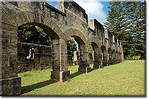 Norfolk Island 
      
 
 
 
 
 
 
 
 
 
 
 
 
 
 
 
 
 
 
 
 
 
 
 
 
 
 
 
 
 
 
 
 
 
 
 
 
 
 
 
 
 
 
 
 
 
 
 
 
 
 
 
 
 
 
 
 
 
 
 
 
 
 
 
 
 
 
 
 
 
 
 
 
 
 
 
 
 
 
 
 
 
 
 
 
 
 
 
 
 
 
 
 
 
 
 
 
 
 - Longridge Arches