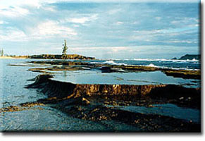 Norfolk Island 
      - Slaughter Bay reef